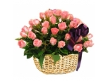 Pink Pearl - 36 Stems In Basket